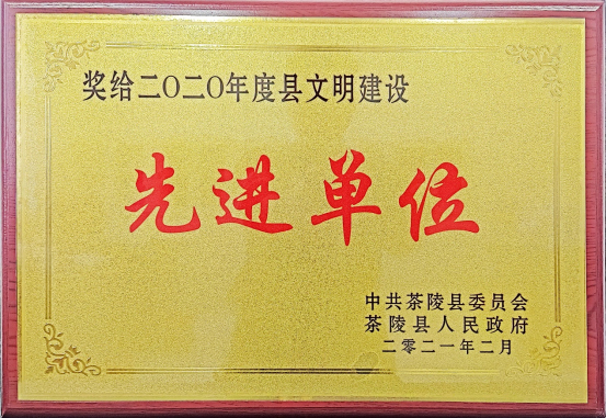 湖南泰阳药业先进单位