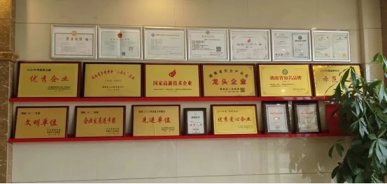 泰阳药业